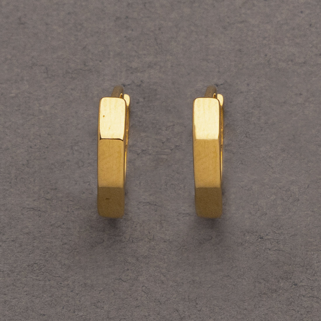 18K GOLD Earrings【250210】